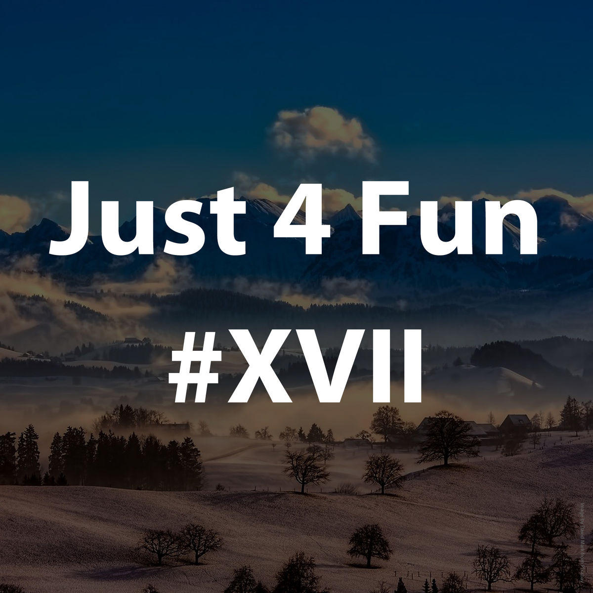 Just 4 Fun #XVII [2021]